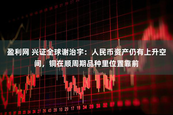 盈利网 兴证全球谢治宇：人民币资产仍有上升空间，铜在顺周期品种里位置靠前