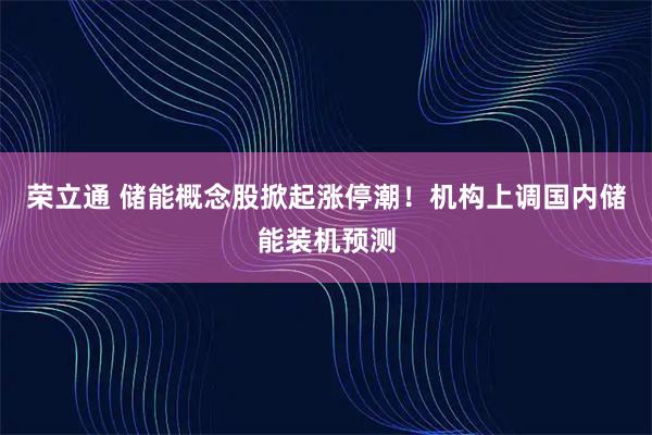 荣立通 储能概念股掀起涨停潮！机构上调国内储能装机预测