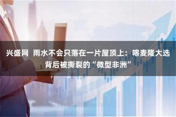 兴盛网 雨水不会只落在一片屋顶上:喀麦隆大选背后被撕裂的“微型非洲”