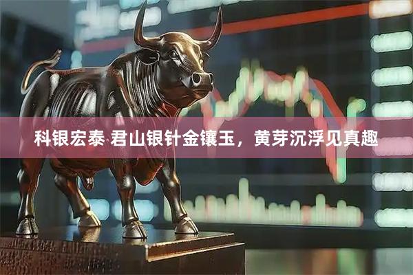 科银宏泰 君山银针金镶玉，黄芽沉浮见真趣